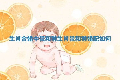 生肖合婚中鼠和猴 生肖鼠和猴婚配如何