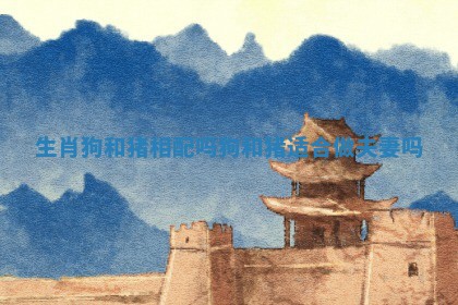生肖狗和猪相配吗 狗和猪适合做夫妻吗
