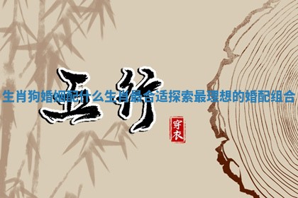 生肖狗婚姻配什么生肖最合适探索最理想的婚配组合