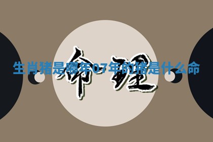 生肖猪是哪年 07年的猪是什么命