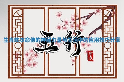 生肖蛇本命佛的神秘力量与生活中的应用技巧分享