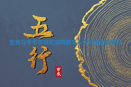 生肖马今年可以买房吗 属马人今年适宜买房吗