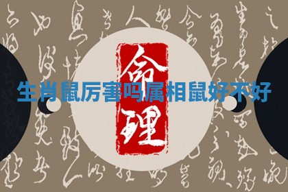 生肖鼠厉害吗_属相鼠好不好