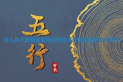 男人鼻子面相图解揭示性格与命运的秘密你了解吗