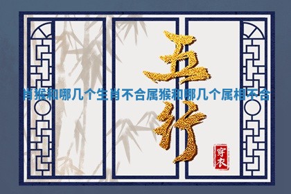 肖猴和哪几个生肖不合_属猴和哪几个属相不合