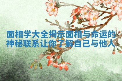 面相学大全揭示面相与命运的神秘联系让你了解自己与他人