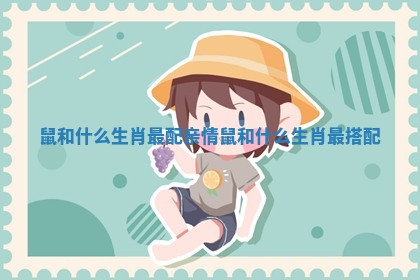 鼠和什么生肖最配亲情_鼠和什么生肖最搭配