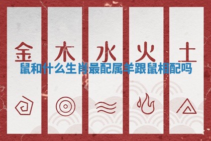 鼠和什么生肖最配 属羊跟鼠相配吗 鼠和什么生肖最配 属羊跟鼠相配吗