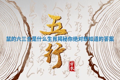鼠的六三合是什么生肖揭秘你绝对想知道的答案