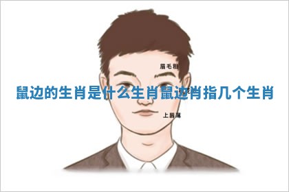 鼠边的生肖是什么生肖 鼠边肖指几个生肖