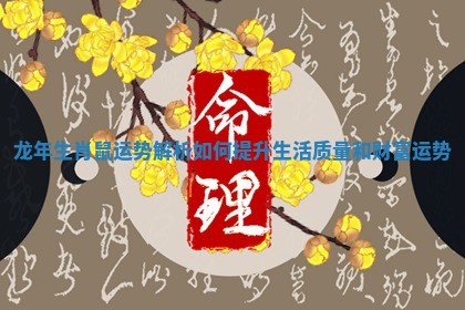 龙年生肖鼠运势解析如何提升生活质量和财富运势