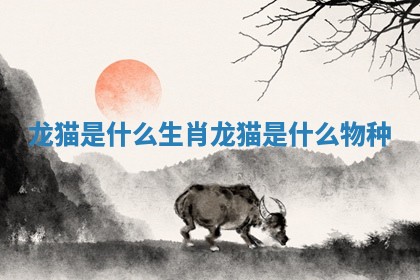 龙猫是什么生肖_龙猫是什么物种
